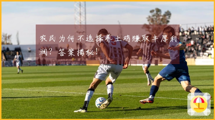 农民为何不选择养土鸡赚取丰厚利润？答案揭秘！