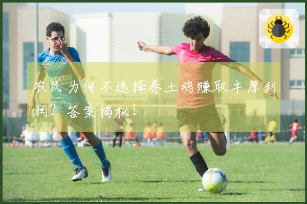 农民为何不选择养土鸡赚取丰厚利润？答案揭秘！