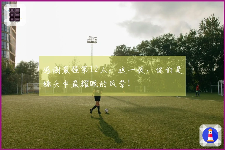 感谢最强第12人，这一夜，你们是镜头中最耀眼的风景！